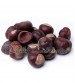 Bal Çeşitleri - Hakiki Kestane Balı 408 gr
